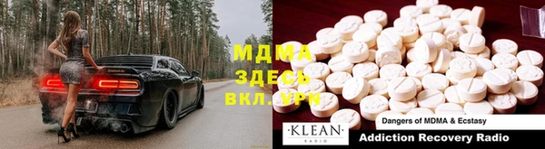 индика Алексин