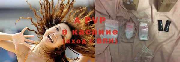 крисы Алзамай