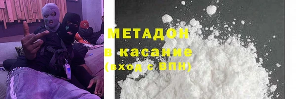 индика Алексин