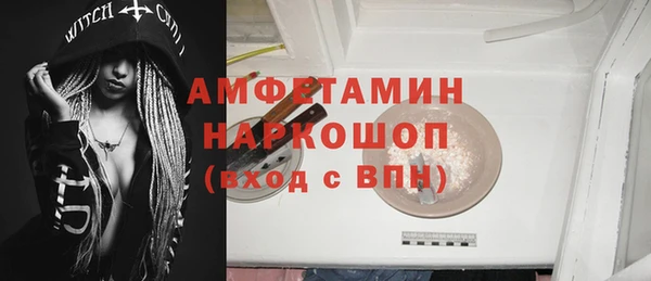 индика Алексин