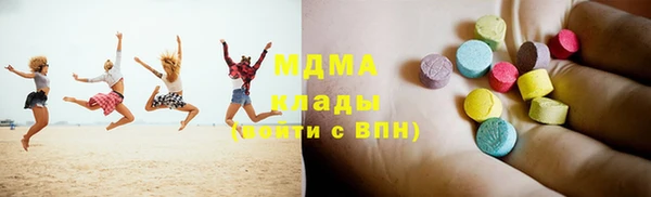 индика Алексин