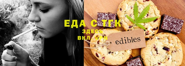 индика Алексин