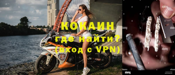 крисы Алзамай