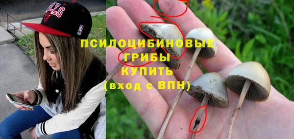 меф Инсар