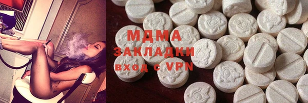 индика Алексин