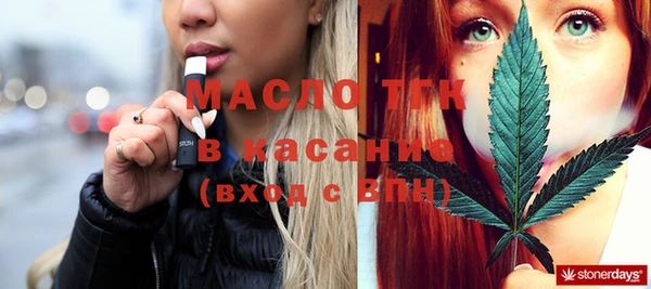 индика Алексин