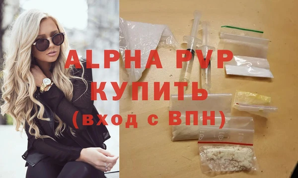 индика Алексин