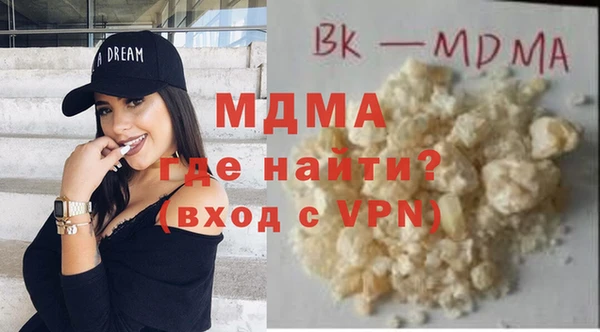 индика Алексин
