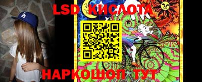 стаф Обнинск
