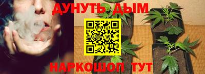 стаф Обнинск