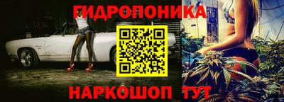 стаф Обнинск