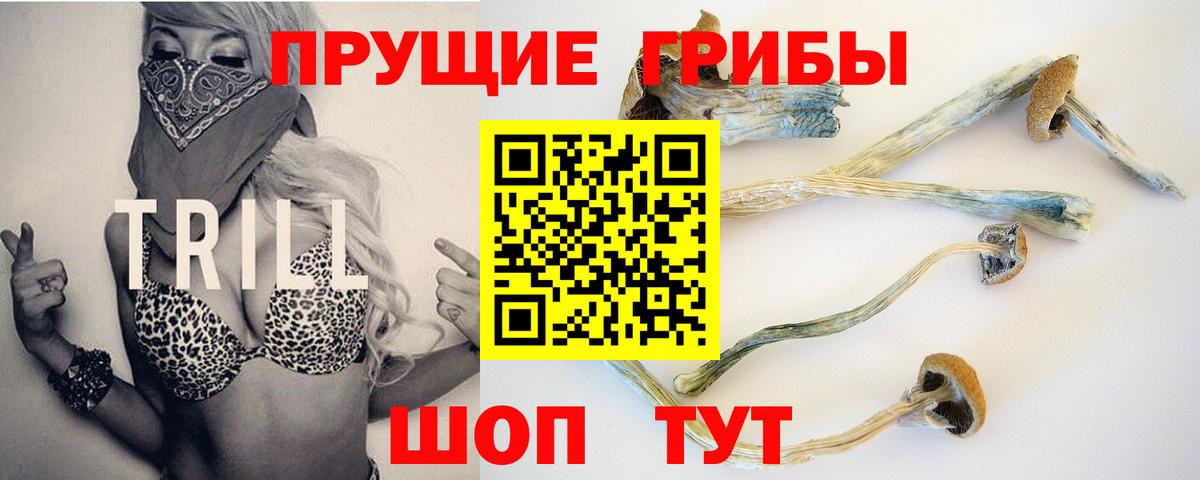 Галлюциногенные грибы Magic Shrooms  дарнет шоп  Морозовск  Вход с VPN 